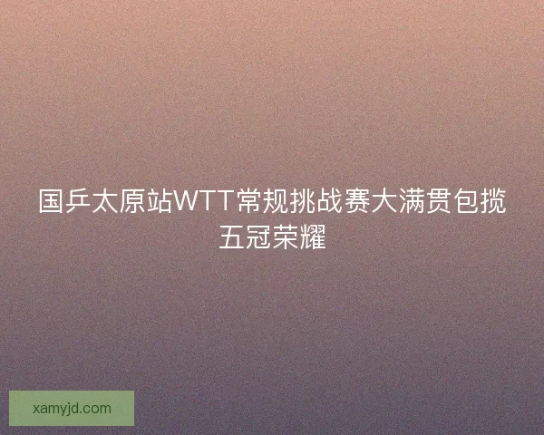 国乒太原站WTT常规挑战赛大满贯包揽五冠荣耀